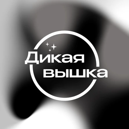 Лихо Фест