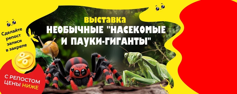 Выставка Необычных Насекомых и Пауков Гигантов