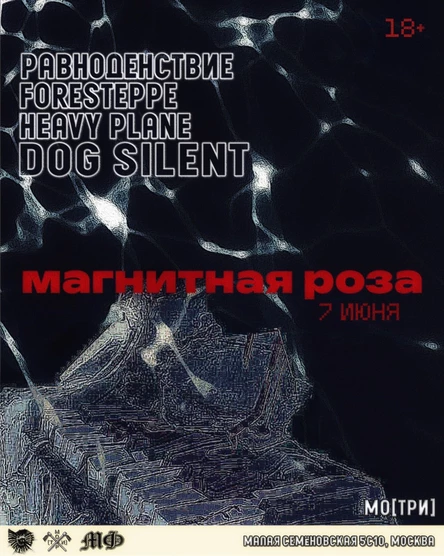 Магнитная роза