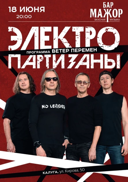 Электропартизаны