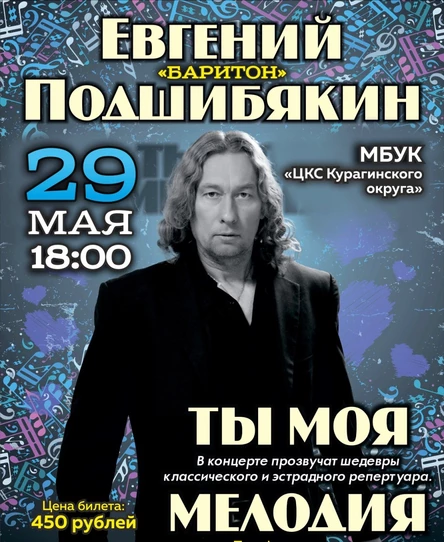 Концерт Евгения Подшибякина
