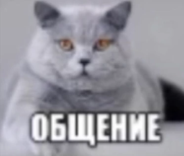 Падение Теплого Сна Ребенка