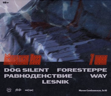 Магнитная роза