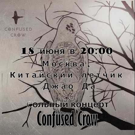 Cольный концерт Confused Crow