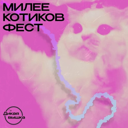 Милее Котиков Фест