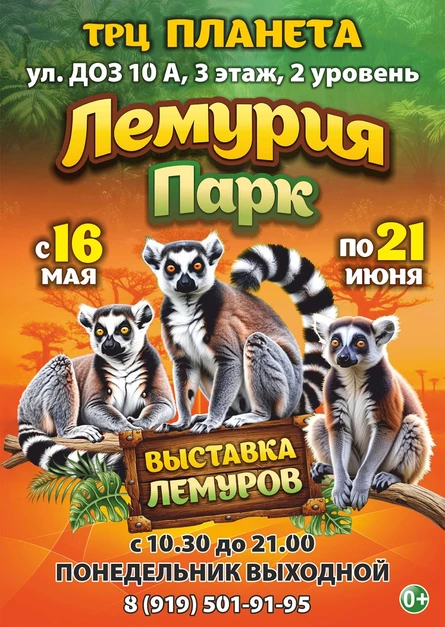 Лемурия Парк | Новокузнецк (ТРЦ «Планета»)