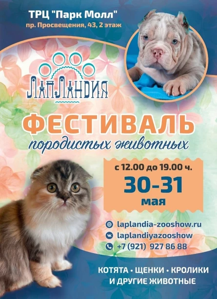Фестиваль породистых домашних животных "ЛапЛандия"