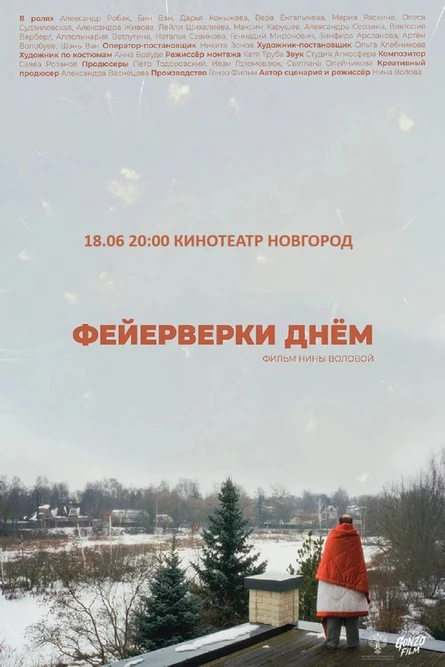 ФЕЙЕРВЕРКИ ДНЁМ