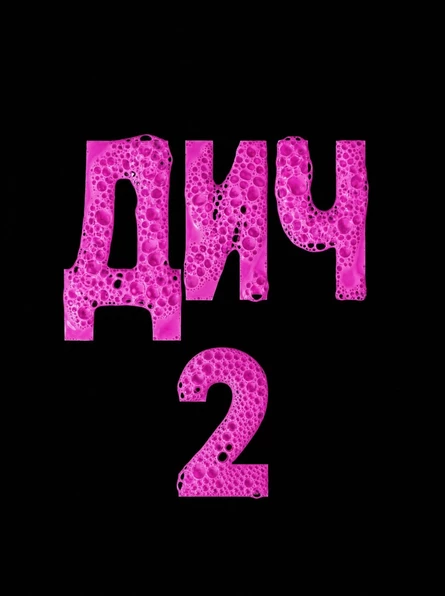 ДИЧ 2