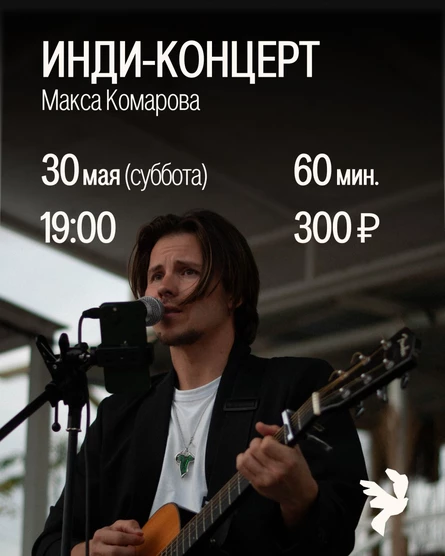 Инди-концерт Макса Комарова