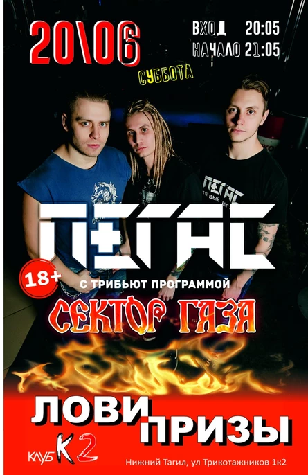 Группа ПЕГАС
