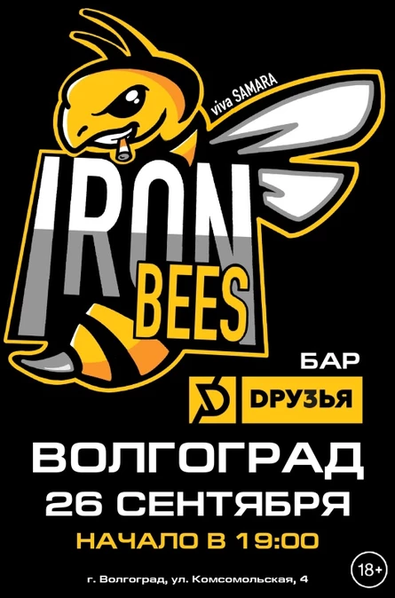 17 лет THE IRON BEES! г. Волгоград