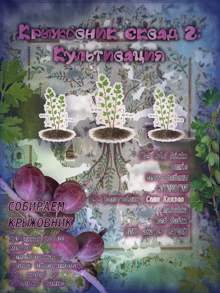 Крыжовник сквад 2: Культивация