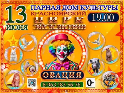 ШОУ ОВАЦИЯ ПАРНАЯ