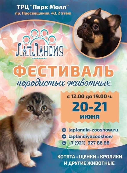 Фестиваль породистых домашних животных "ЛапЛандия"