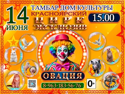 ШОУ ОВАЦИЯ ТАМБАР