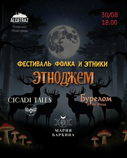 ЭТНОДЖЕМ фестиваль фолка и этники в Нижнем Новгороде