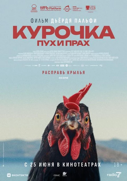 Курочка. Пух и прах, SUB
