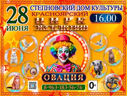 ШОУ ОВАЦИЯ СТЕПНОЙ