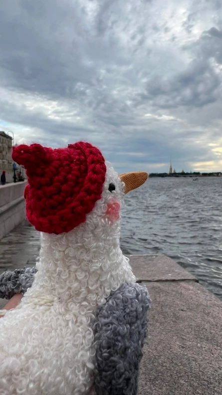 Пикник и швейный мастер-класс "Питерская чайка"