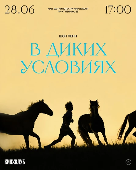 Встреча Киноклуба: «В диких условиях» (2007 г., США, Шон Пенн)