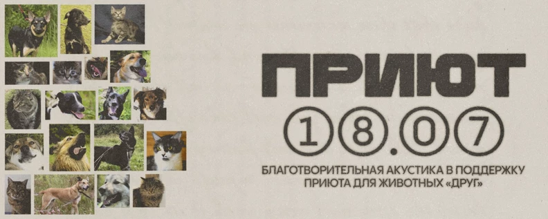 Приют | 18.07 Stay Gold