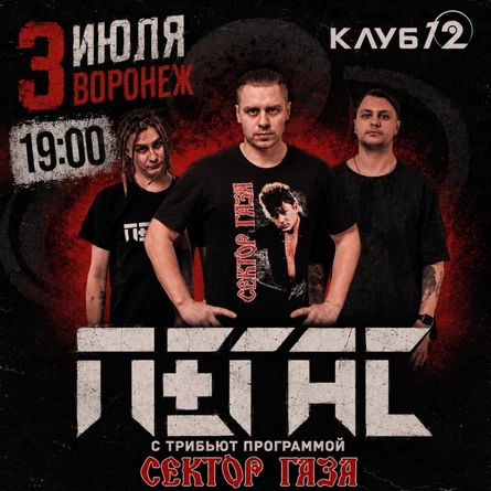 ПЕГАС (Tribute Сектор Газа) в Воронеже 3 июля