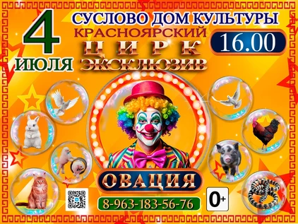 ШОУ ОВАЦИЯ СУСЛОВО