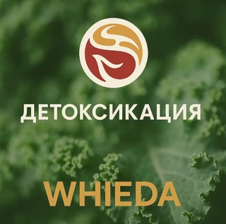 Детоксикация - заявка на участие