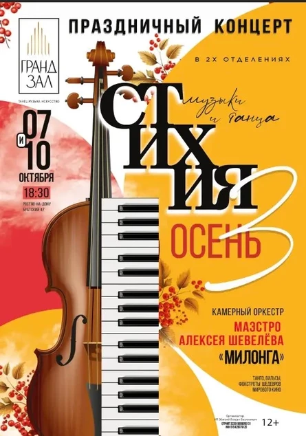 СТИХИЯ МУЗЫКИ И ТАНЦА. КОНЦЕНТ живой музыки и шоу