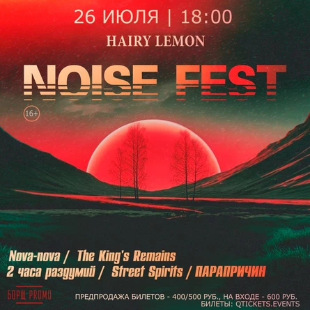26 июля | Noise Fest | Hairy lemon pub