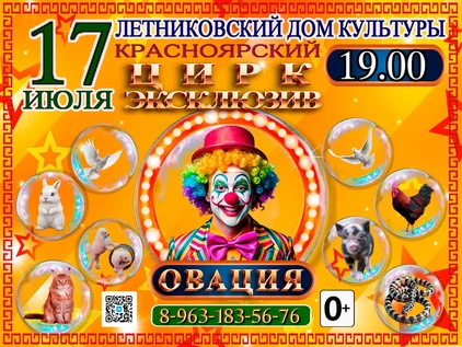 ШОУ ОВАЦИЯ ЛЕТНИК
