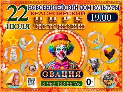 ШОУ ОВАЦИЯ НОВОЕНИСЕЙКА