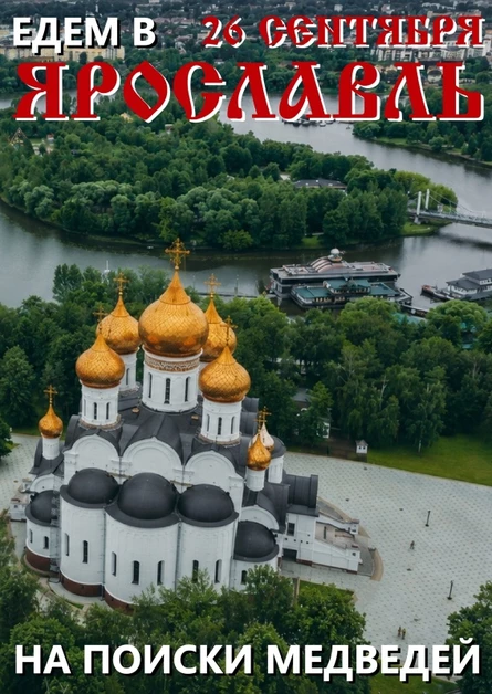 Едем в ЯРОСЛАВЛЬ на поиски медведей ❂ 26.09