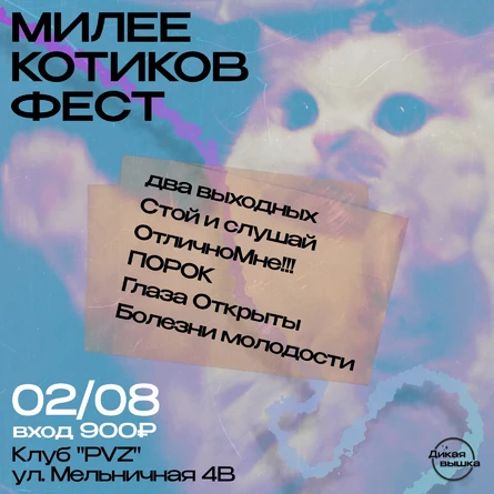 Mилее Котиков Фест. Стой и слушай
