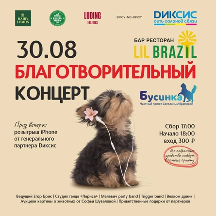 Благотворительный концерт в фонд "Бусинка"