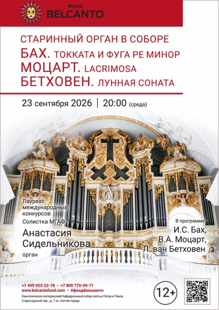 «Старинный орган в Соборе. Бах. Токката и фуга ре минор. Моцарт. Lacrimosa. Бетховен. Лунная соната»