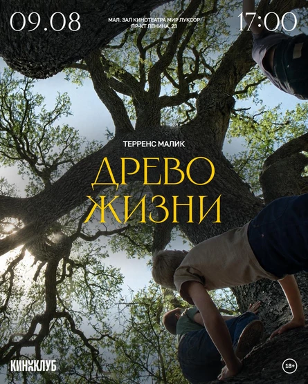 Встреча Киноклуба: «Древо жизни» (2011 г., 139 мин., США, Теренс Малик)