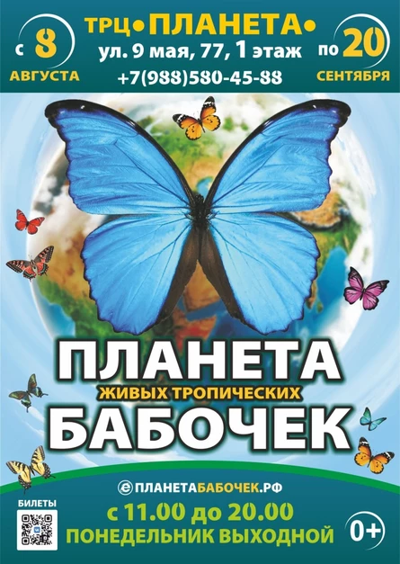 Планета живых бабочек | Красноярск (ТРЦ «Планета»)