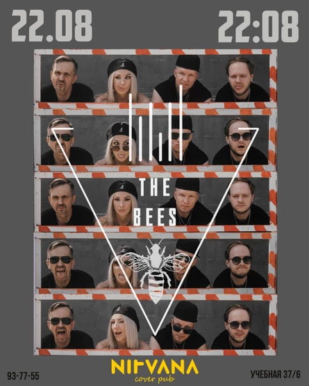 THE BEES | NIRVANA • COVER PUB