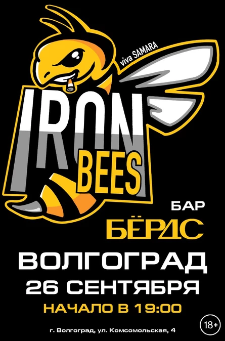 17 лет THE IRON BEES! г. Волгоград