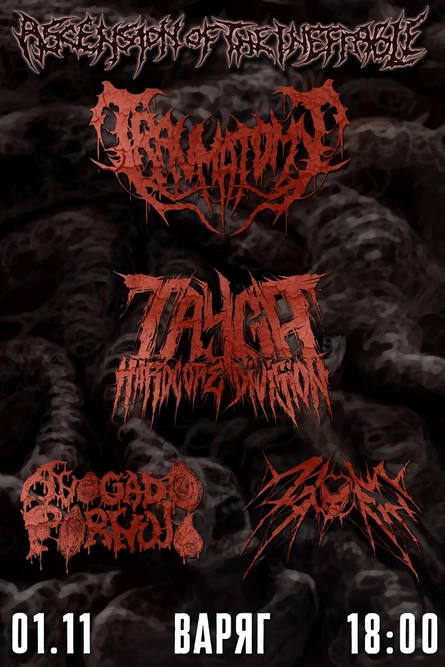 Traumatomy • 01.11 • Томск (Варяг)