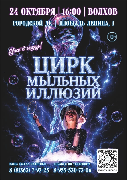 Цирк мыльных иллюзий