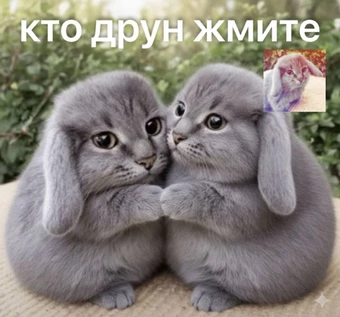 КОТ В МЕШКЕ (!)