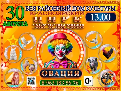 ЦИРК ЭКСКЛЮЗИВ БЕЯ