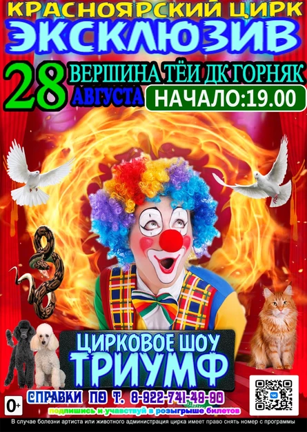 ЦИРК ЭКСКЛЮЗИВ ВЕРШИНА ТЁИ