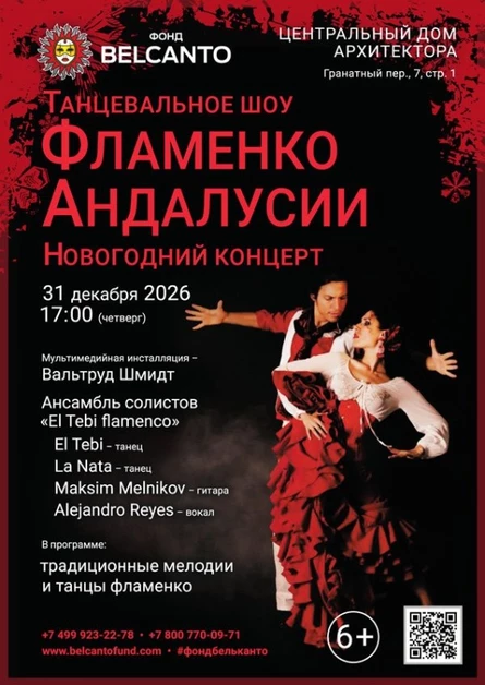 «Новогодний концерт. Танцевальное шоу. Фламенко Андалусии»
