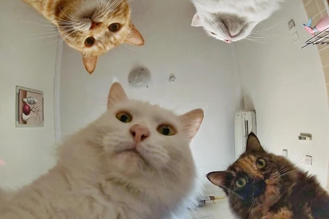 test2