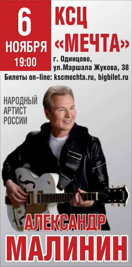 концерт Александра Малинина