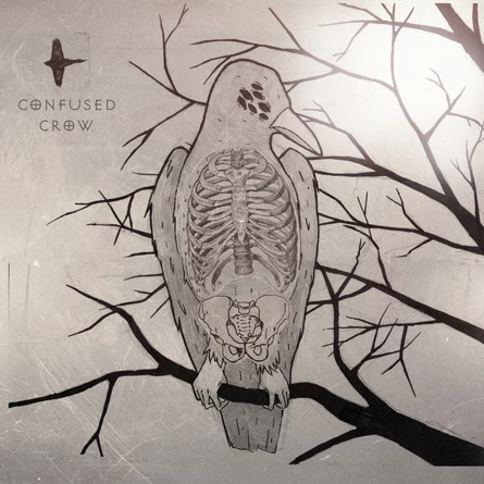 Confused Crow в кафе Unlock